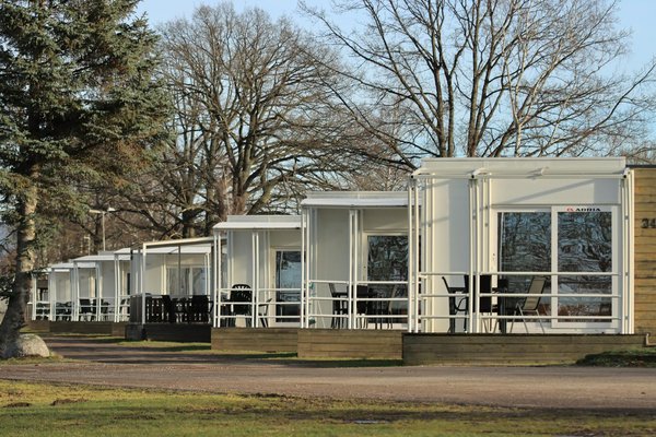 Quels sont les meilleurs spots pour la plongée avec les requins à l'île Guadalupe, Mexique?