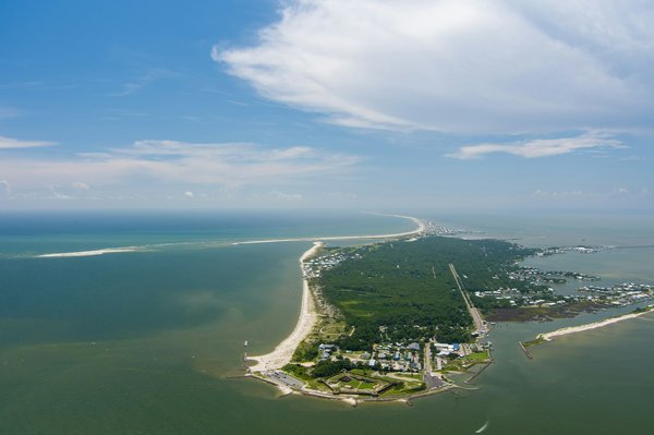 Où observer les dauphins en liberté dans l'archipel des Açores, Portugal : conseils et périodes ?